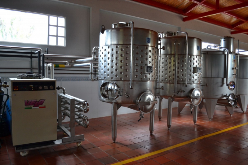 cave-GILETTE-min_wine_production_cantine_winery_drink_alcohol_vine_beverage-902036